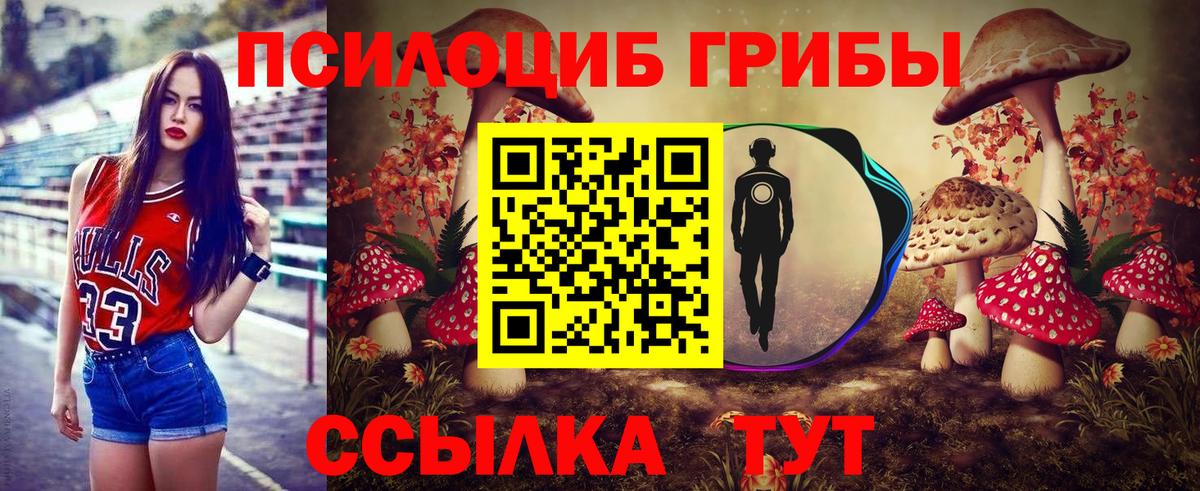 Псилоцибиновые грибы Psilocybine cubensis Волхов