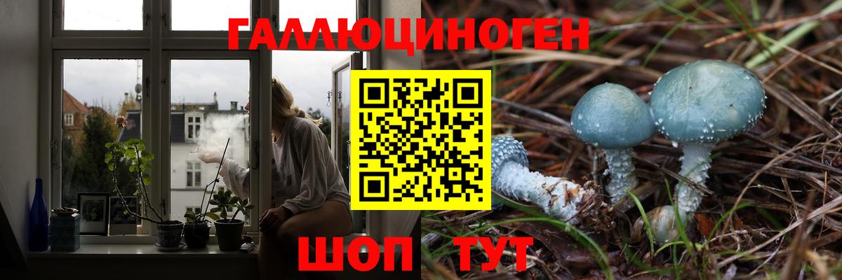 Псилоцибиновые грибы мицелий  Вход с VPN  Волхов 